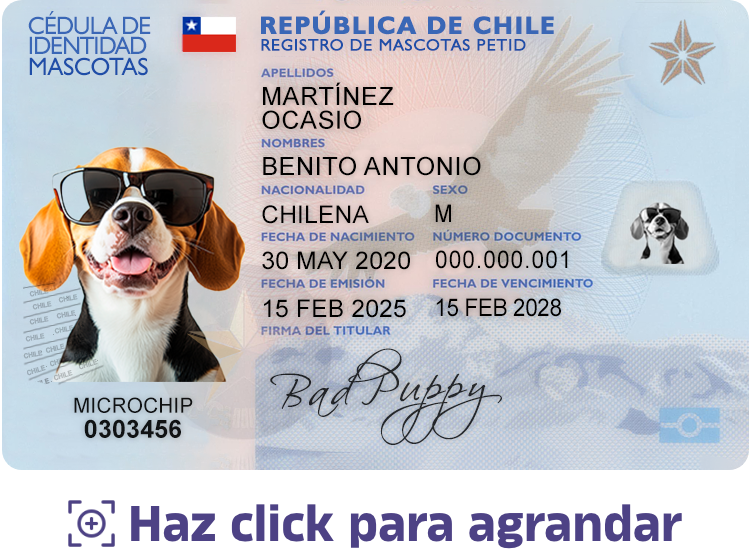 ID de mascota